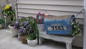 Wonderfully rusty old rural mailbox planter