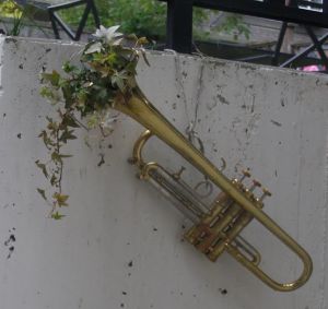 I have wanted a trumpet planter for some time, but it had to be an instrument that was beyond repair - and didn't cost a fortune. I had all but given up when I found this little sweetie in my local thrift shop - just $20 bucks.