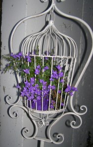 Vintage style iron birdcage